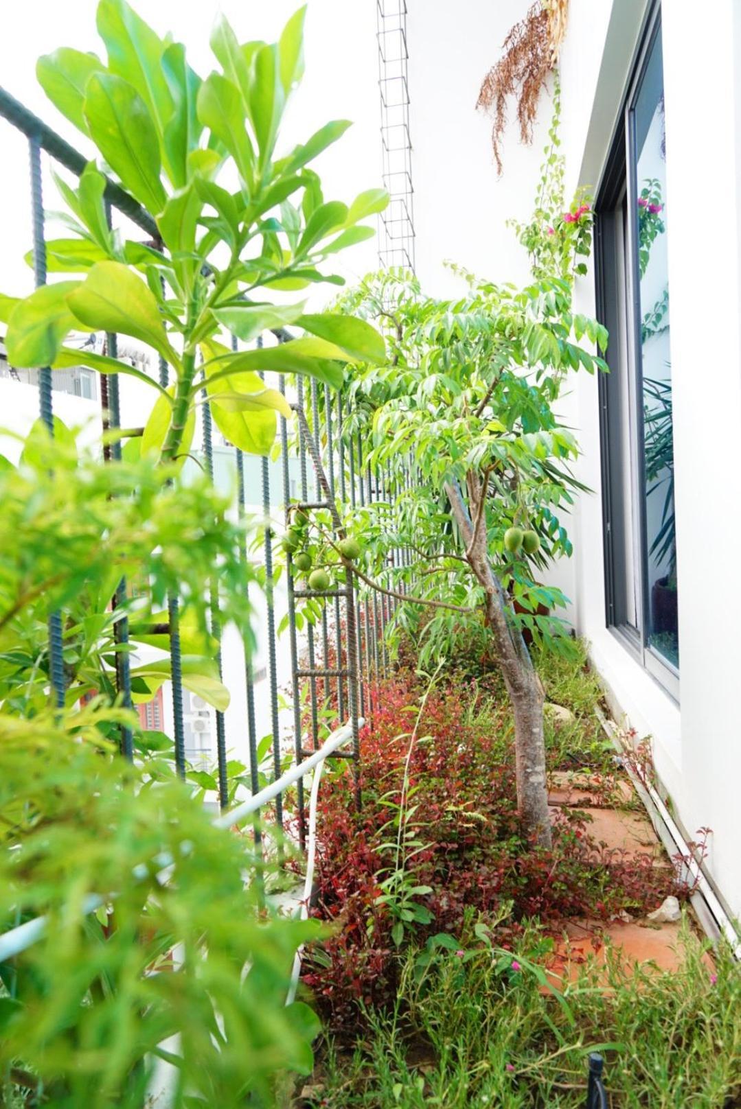 Laholm Hotel - Apartment Nha Trang Exterior foto
